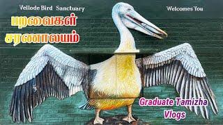 Vellode Birds Sanctuary | Erode Vlog | Low Budget Road Trip | One day trip | graduate tamizha vlogs