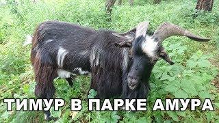 ТИМУР В ПАРКЕ АМУРА