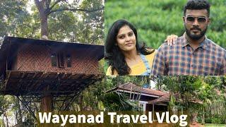 WAYANAD TRAVEL VLOG|LONGEST ZIPLINE IN WAYANAD|TREE HOUSE  | VISITED THIS AMAZING PLACE  | ROOM TOUR