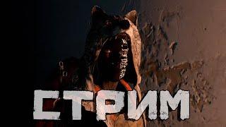 До Тисов и обратно на Берег ПВП DayZ 1.27 / Twitch / VKLive #stream #dayz