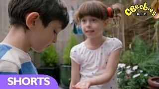 CBeebies: Topsy and Tim - Remember When... Planting Sunflower Seeds
