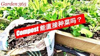 【堆肥】compost 可以直接种菜吗？不会烧根吗？