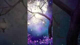 【100% 無廣告 ,放鬆音樂】深度睡眠,放鬆音樂,治療音樂,舒壓按摩音樂, 睡眠音樂,療癒音樂,鋼琴音樂,波音,鋼琴曲,輕音樂,輕快,BGM,純音樂,钢琴曲,轻音乐,放松音乐