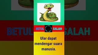 SOAL TEBAK-TEBAKAN DUNIA BINATANG//Ular