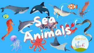 Learn Sea Animal names | What animals live in the ocean? | Preschool education