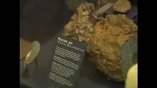 Harvard Museum of Natural History