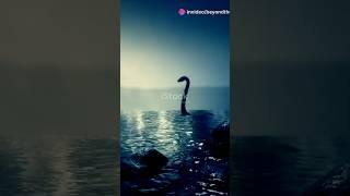 Is the Loch Ness Monster Real? Discovering Nessie's Secrets!