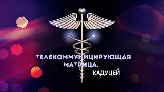 Выпуск 20. Телекоммуницирующая  Матрица.  (Кадуцей.)