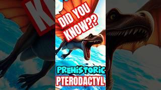 Pterodactyls | Fun Facts  | Kids Network Studios  | iSMARTiDEAS  | #shorts #didyouknow