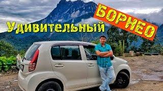 УДИВИТЕЛЬНЫЙ БОРНЕО | Путешествие по Малайзии