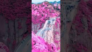 places on earth that don't feel real #travel #nature #explore #shorts
