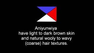 Aniyunwiya- Skin tones & natural hair textures