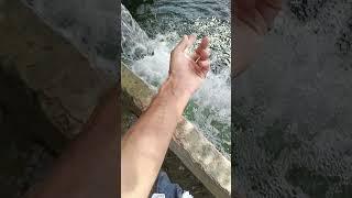 tubewell swimming in village #tubewell #villagelife #relaxingbath #bathing