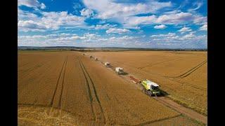 Harvest 2022  | 6x harversters in one field (5x Claas + 1x John Deere) Statek Miroslav