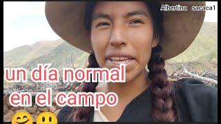 ''un día normal en el CAMPO'' y me faltó mostrar muchas cosas más