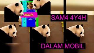 Dalam mobil panda || sama 4Y4H enak