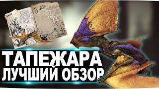 Тапежара (Tapejara) в АРК. Лучший обзор: приручение, разведение и способности  в ark