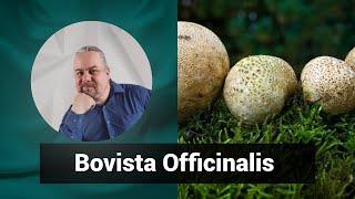 Разбор препарата БОВИСТА ОФФИЦИНАЛИС BOVISTA OFFICINALIS | Гомеопатия и Здоровье.