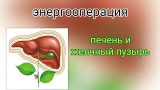 #энергооперация Печень и желчный пузырь