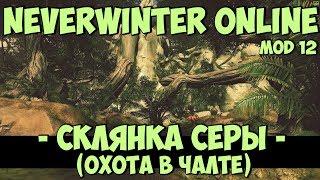 Склянка Серы (Охота в Чалте) | Neverwinter Online | Mod 12