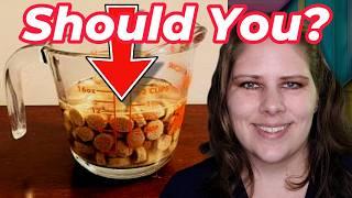 Should You Add Water to Kibble? | Vet's Voice