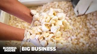 How The US' Biggest Garlic Producer Survived The Fall Of American Garlic | Big Business