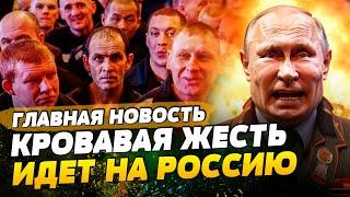 НОВАЯ ЭЛИТА РФ: КРОВАВЫЕ ЗВЕРИ С ТЮРЕМ ВЫХОДЯТ НА СВОБОДУ  | ГЛАВНАЯ НОВОСТЬ