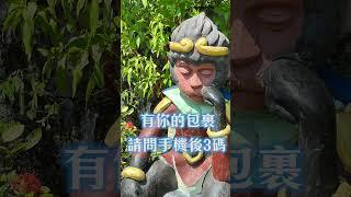 沉思的猴子與斯巴達勇士