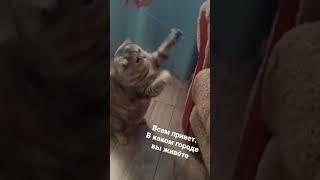 Играемся