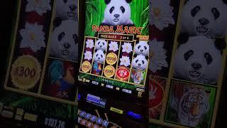 my last $137 turned into something crazy in Vegas! #casino #gamble #vegas