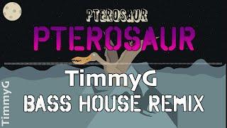 Pterosaur (TimmyG Bass House Remix)