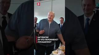 Загубили! За что переживает Лукашенко? #лукашенко #новости #политика #белаурсь #садоводство #shorts