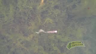 Underwater Footage - Mister Twister "Motor Oil" Curly Tail Grub