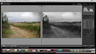 Peachpit TV: Black & White Imaging in Adobe Lightroom