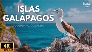 ISLAS GALÁPAGOS - LA CUNA DE LA VIDA SALVAJE | Documental Completo