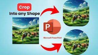 How to change corner radius of picture in PowerPoint | create rounded corner picture | crop picture