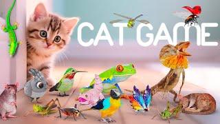 CAT GAMES 3D Game for Cats to Watch – Ultimate CAT TV with Birds, Mice & More!  4K60FPS