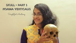 SKULL PART 1 | NORMA VERTICALIS | ANATOMY | SIMPLIFIED 