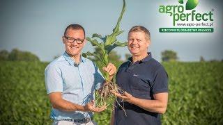 AGRO-PERFECT Bydgoszcz www.AGRIFUL.info