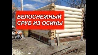 Красивый СРУБ из ОСИНЫ_3х4