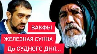 Железная СУННА до Судного ДНЯ. Дагестан, чеченцы, узбеки, татары, ингуши, КЧР, КБР - Руслан КУРБАНОВ