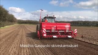 Maschio Dominator rotorharve / Maschio Dama 4 meter såsæt med Corex disk.