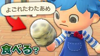 夏の新アイテム"わたあめ"持ちながら転びまくったら汚れる説【あつ森】【あつまれどうぶつの森検証】