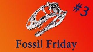 Fossil Friday - 'Sophie the Stegosaurus' - #FossilFriday