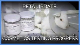 30 Years After PETA Exposed Cosmetics-Testing Lab, Here's How Far We've Come