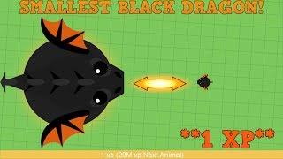 SMALLEST BLACK DRAGON EVER! WORLDS SMALLEST BLACK DRAGON 1 XP! Mope.io Hack/Glitch [Mopeio]