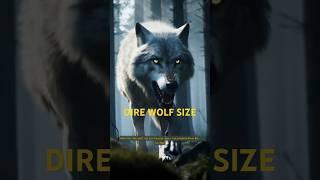 How Big is a Dire Wolf #shorts #direwolf