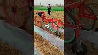 Laying Mulching Film Machine #agriculture #farming #equpment