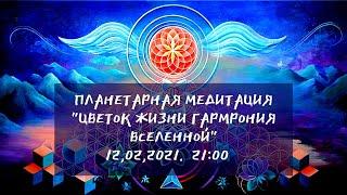 Планетарная медитация "Цветок жизни, Принятие энергии вселенской гармонии""