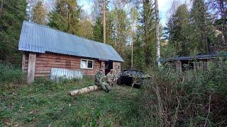 ЖИВЁМ В ТАЁЖНОЙ ИЗБЕ. ОХОТА ПО ПЕРУ. ЗАСЫПАЕМ СОЛОНЦЫ ЛОСЯМ